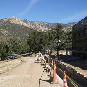 After installation of Island Oaks, flanking the entrance to the new Island Section at the Pritzlaff Conservation Center