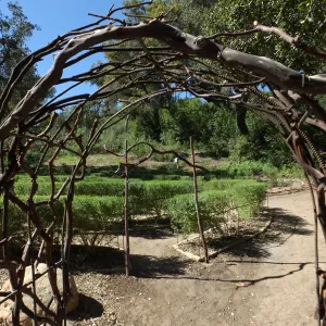Entry Arches, Centennial Maze
