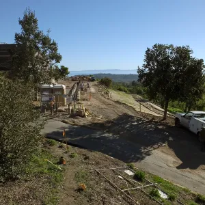 After installation of Island Oaks, flanking the entrance to the new Island Section at the Pritzlaff Conservation Center