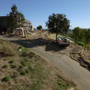 After installation of Island Oaks, flanking the entrance to the new Island Section at the Pritzlaff Conservation Center