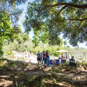 2016 Santa Barbara Beer Garden Event, Island Brewing Company