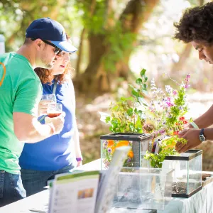 2016 Santa Barbara Beer Garden Event