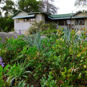 Home Demonstration Garden Renovation