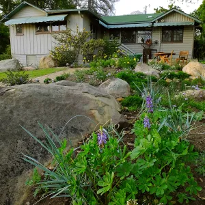 Home Demonstration Garden Renovation
