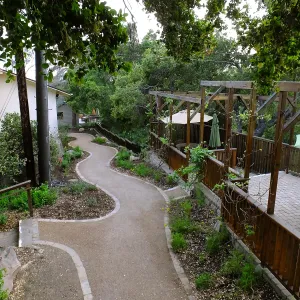 Home Demonstration Garden Renovation, view 33, looking south along path west of Herbarium