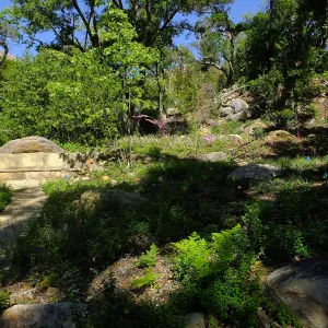 Wooded Dell, Campbell Bench