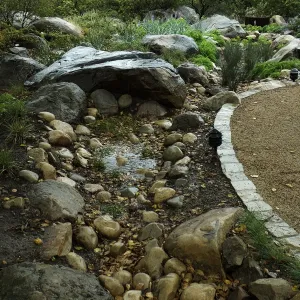 Rainfall collecting in bioswale, Home Demonstration Garden