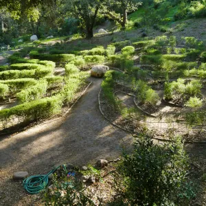 Centennial Maze