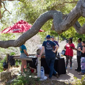 2016 Santa Barbara Beer Garden Event, Figeroa Mountain Brewing