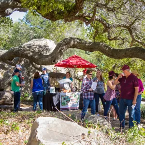 2016 Santa Barbara Beer Garden Event, Figueroa Mountain Brewery