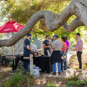 2016 Santa Barbara Beer Garden Event, Figueroa Mountain Brewery