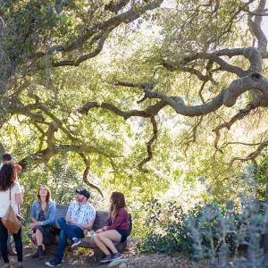 2016 Santa Barbara Beer Garden Event