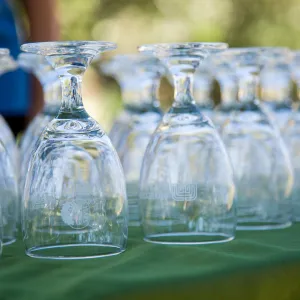 2016 Santa Barbara Beer Garden Event