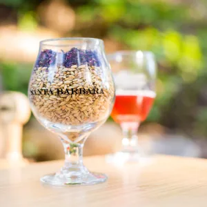 2016 Santa Barbara Beer Garden Event, Telegraph Brewery Barley