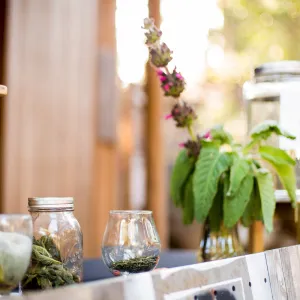 2016 Santa Barbara Beer Garden Event