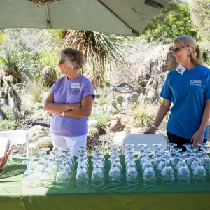 2016 Santa Barbara Beer Garden Event