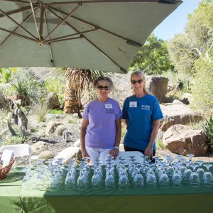 2016 Santa Barbara Beer Garden Event