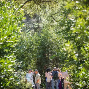 2016 Santa Barbara Beer Garden Event