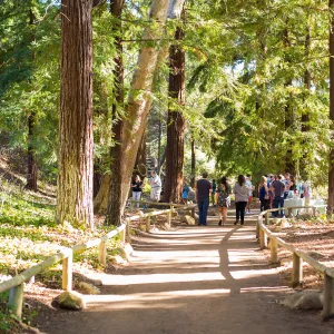 2016 Santa Barbara Beer Garden Event