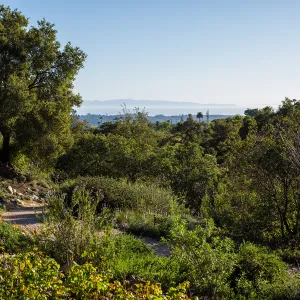 2016 Santa Barbara Beer Garden Event