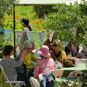 Garden Club of Santa Barbara Centennial Birthday Meeting