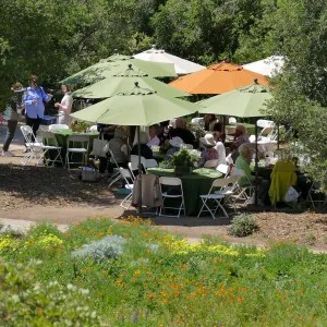 Garden Club of Santa Barbara Centennial Birthday Meeting
