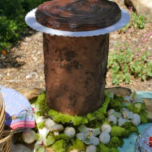Garden Club of Santa Barbara Centennial Birthday Meeting