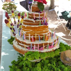 Garden Club of Santa Barbara Centennial Birthday Meeting, Birthday cake