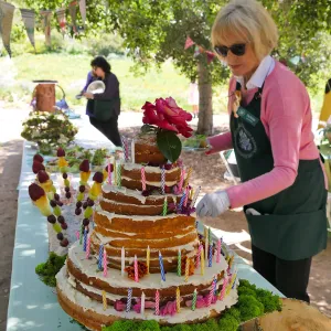 Garden Club of Santa Barbara Centennial Birthday Meeting, Birthday cake