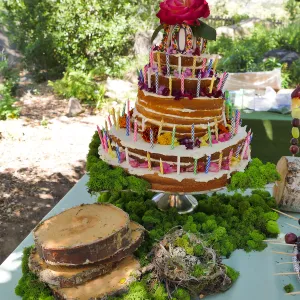 Garden Club of Santa Barbara Centennial Birthday Meeting, Birthday cake