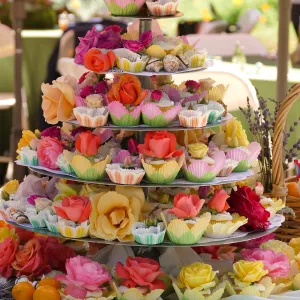 Garden Club of Santa Barbara Centennial Birthday Meeting, Birthday cupcakes