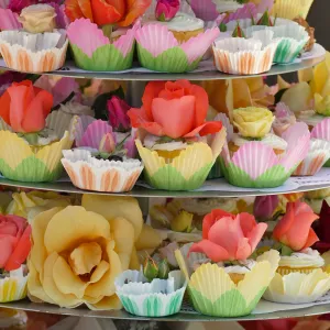 Garden Club of Santa Barbara Centennial Birthday Meeting, Birthday cupcakes
