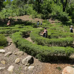 Garden Club of Santa Barbara Centennial Birthday Meeting, Club members touring the Centennial Maze