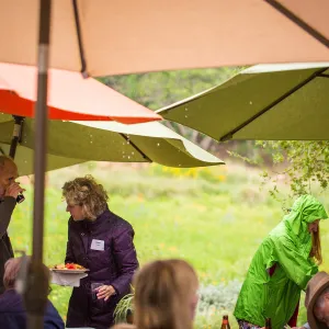 Members Picnic 2016, Day 2