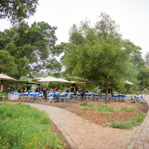 Members Picnic 2016, Day 2