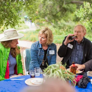 Members Picnic 2016, Day 2