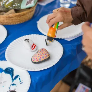 Members Picnic 2016, Day 2, pet rock painting activity