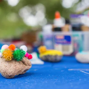 Members Picnic 2016, Day 2, pet rock activity