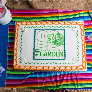 Members Picnic 2016, Day 2, 90th birthday cake