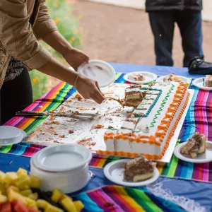 Members Picnic 2016, Day 2