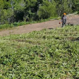 Tony Lee cutting weeds on the East Slope