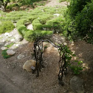 Centennial Maze