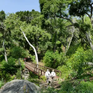 Campbell Bridge