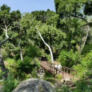 Campbell Bridge