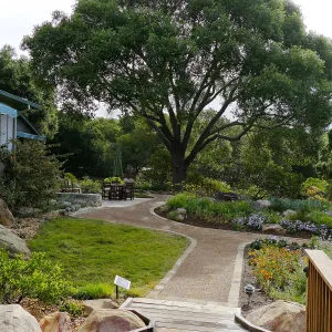 Home Demonstration Garden Renovation, view 27, looking east from deck