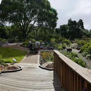 Home Demonstration Garden Renovation, view 26, panorama from deck