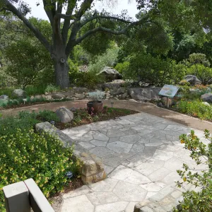 Home Demonstration Garden Renovation, view 19, looking southeast from south entrance of Cottage