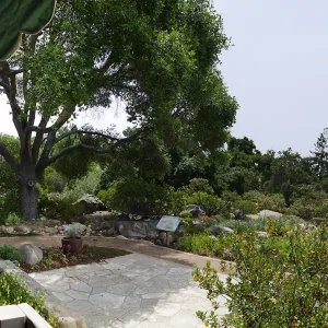 Home Demonstration Garden Renovation, view 17, panorama from south entrance of Cottage