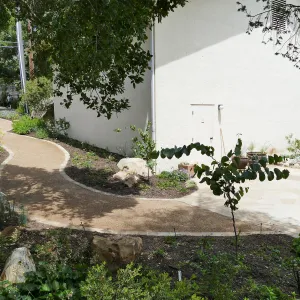 Home Demonstration Garden Renovation, view 31, looking towards southwest corner of Herbarium
