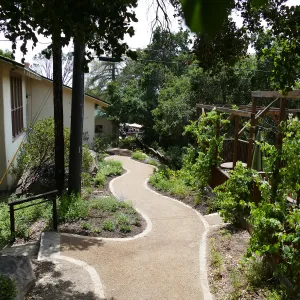 Home Demonstration Garden Renovation, view 33, looking south along path west of Herbarium